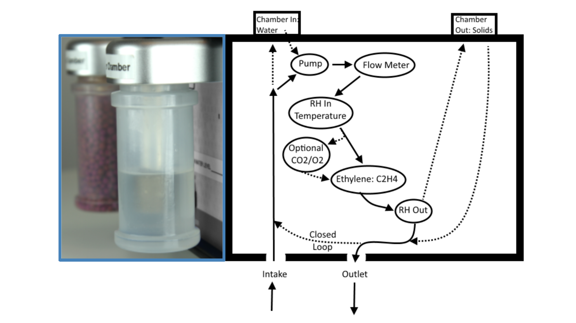 chambers and flow path