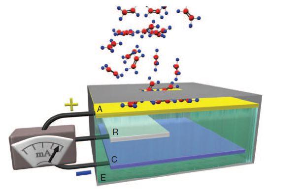 Diagram of sensor